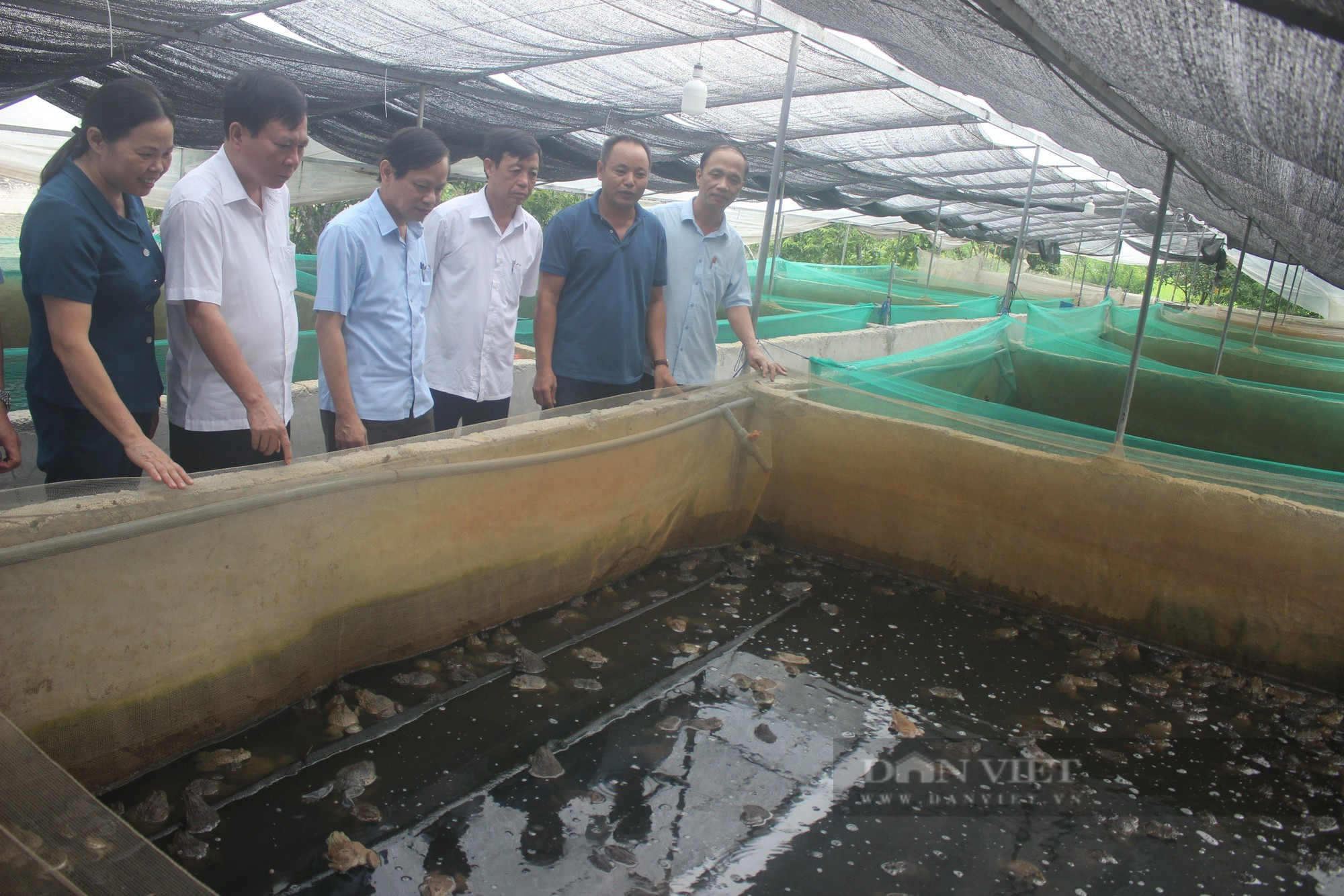 Hội Nông dân tỉnh Thanh Hóa sẵn sàng cho Đại hội nhiệm kỳ mới - Ảnh 4.