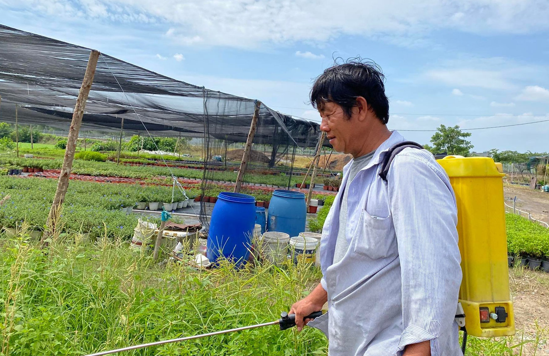 TP.HCM: Chuyển hướng sang nghề trồng cây kiểng giúp nông dân thích ứng với đô thị hóa - Ảnh 1.