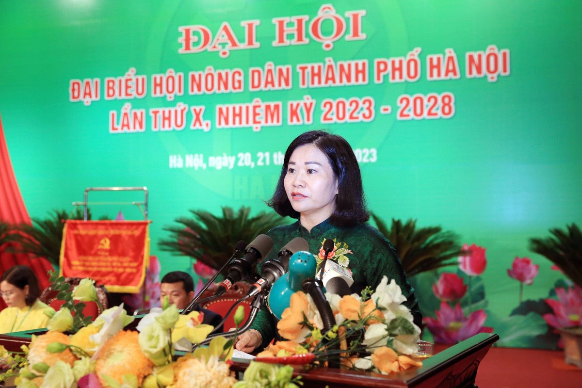 Phó Bí thư Thường trực Thành ủy Hà Nội: GRDP tăng 5,9% có sự đóng góp quan trọng của cán bộ, hội viên nông dân - Ảnh 1.