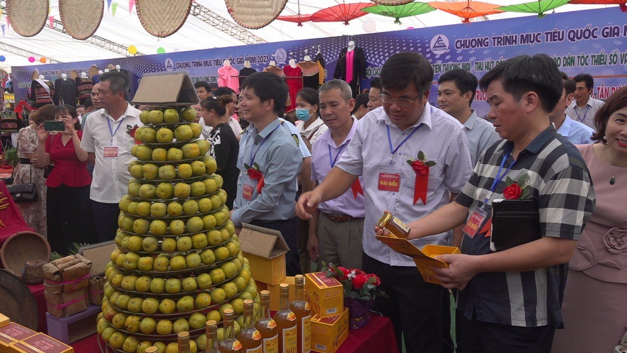 Đầu tư phát triển, tạo chuyển biến căn bản về kinh tế, văn hóa, xã hội ở vùng có đồng bào dân tộc thiểu số - Ảnh 1.