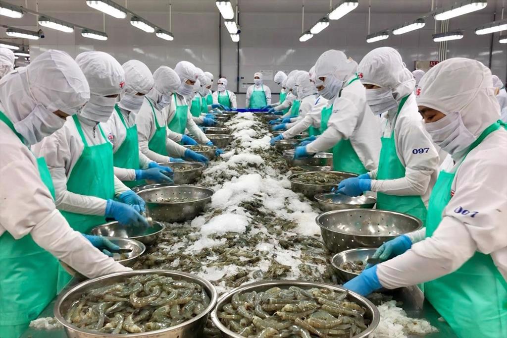 Thu về 659 triệu USD nhờ thị trường Mỹ thích mua nhất 2 loài thủy sản của Việt Nam - Ảnh 2.