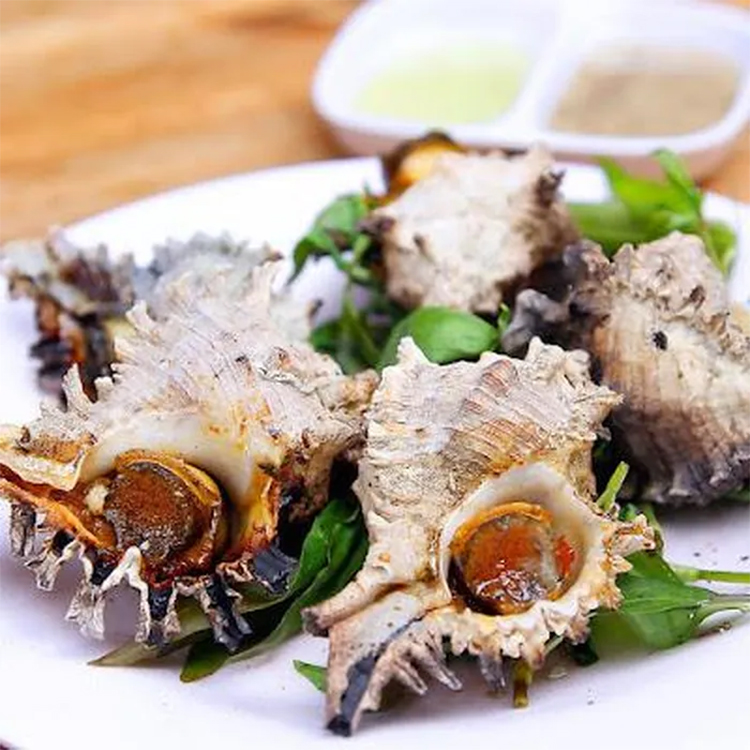 Ra một hòn đảo ở Quảng Ninh nướng con ốc biển to bự, nhìn sang thấy cá dìa xếp lớp thơm phức mùi lá lốt - Ảnh 1.