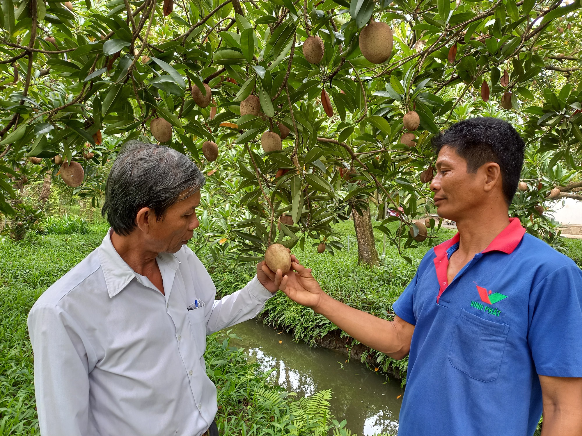 Bà Nguyễn Thị Hồng Phượng tái đắc cử chức Chủ tịch Hội Nông dân tỉnh Tiền Giang, lần thứ IX - Ảnh 2.