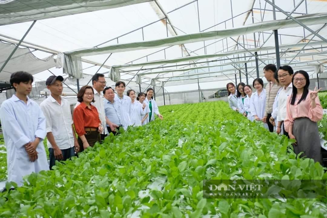 Phó Chủ tịch Hội NDVN Cao Xuân Thu Vân: Nông dân Đà Nẵng phát triển nông nghiệp đô thị gắn với chuyển đổi số - Ảnh 6.