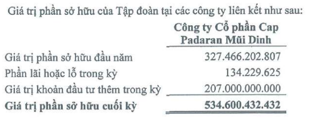 FIT thoái vốn, doanh nhân Thang Văn Lương ngồi ghế nóng dự án tỷ đô Cap Padaran Mũi Dinh - Ảnh 1.