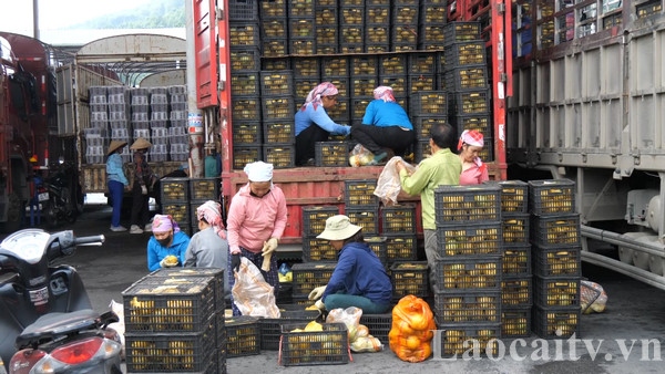 Nhộn nhịp chợ nông sản Kim Thành  - Ảnh 2.