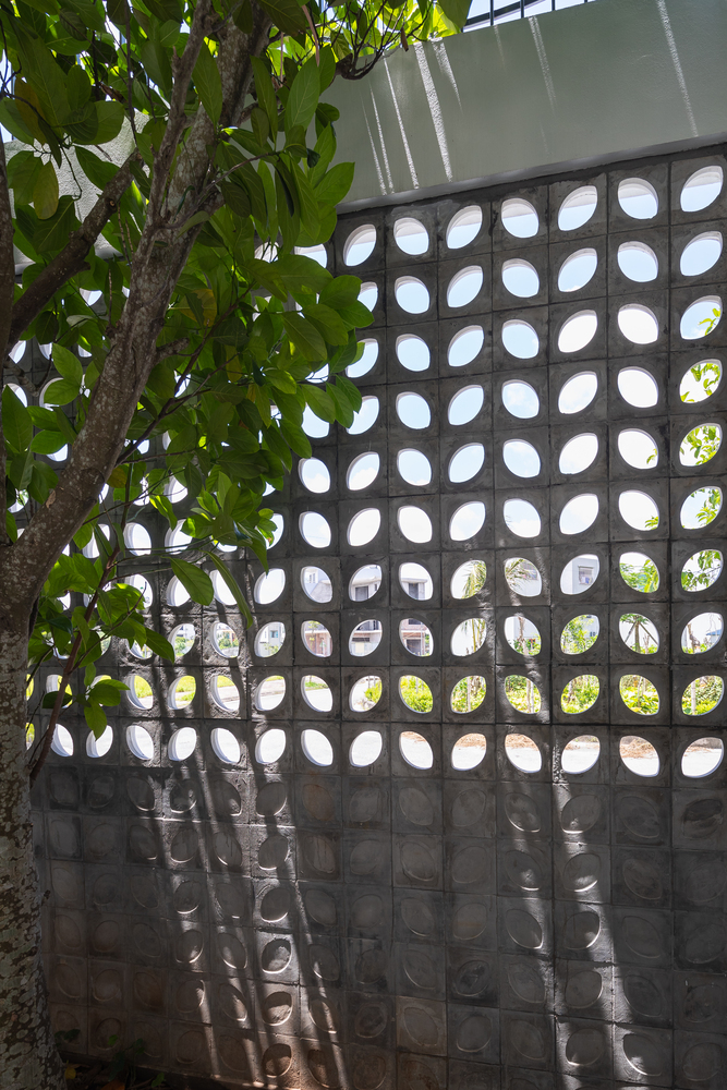 Độc đáo ngôi nhà ở Thái Bình có bức tường lỗ rỗng mô phỏng hạt gạo - Ảnh 3.