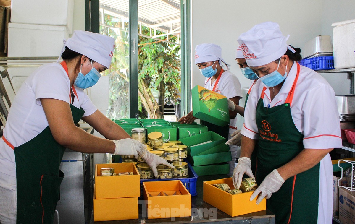 'Hái ra tiền' nhờ giá sầu riêng phi mã, nông dân Khánh Sơn thu về 700 triệu đến 1 tỷ đồng/ha - Ảnh 28.