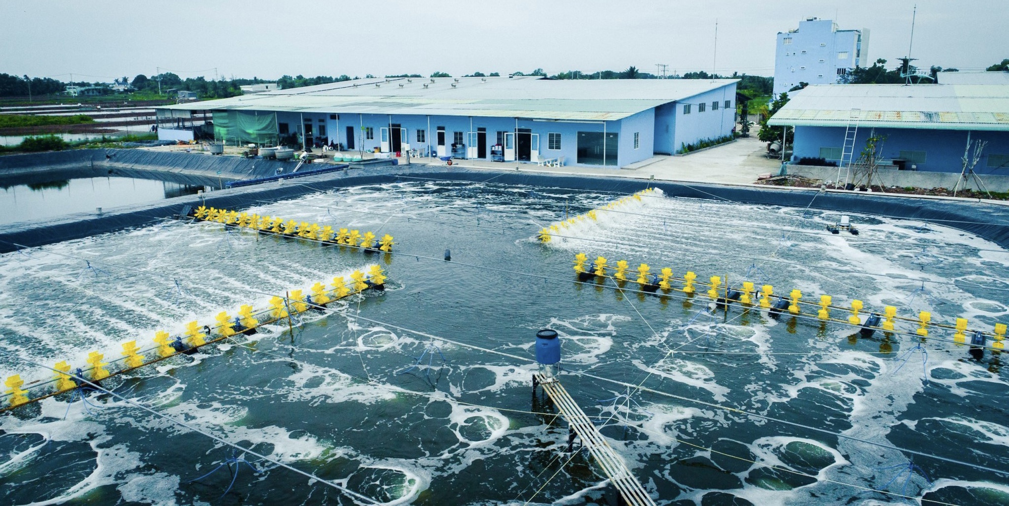 Gặp Tiến sĩ nuôi tôm độc đáo nhất nhì ở đồng bằng - Ảnh 5. Gặp Tiến sĩ nuôi tôm độc đáo nhất nhì ở đồng bằng - Ảnh 5.