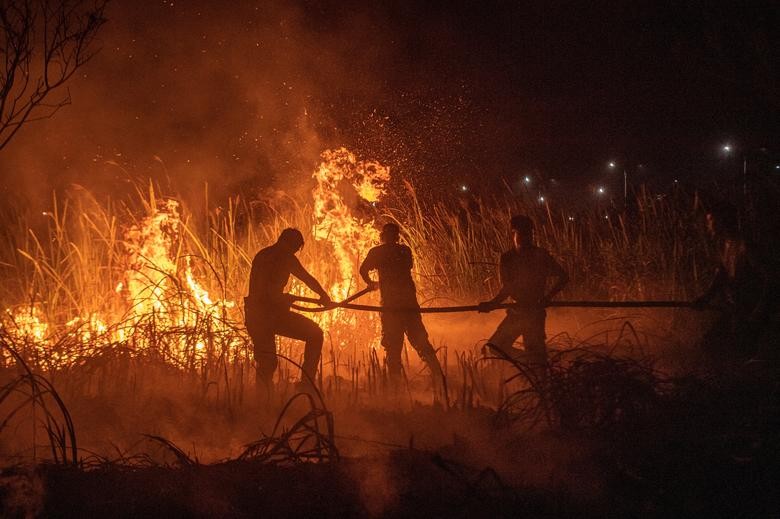 Ảnh thế giới 7 ngày qua: Đấu vật trên tàu cao tốc và khu rừng bị cháy rụi ở Ukraine - Ảnh 11.