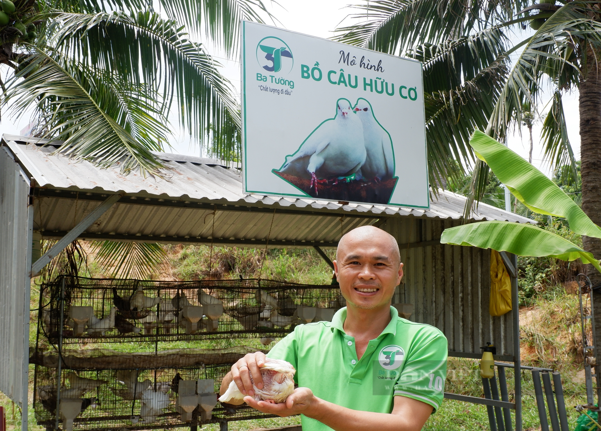 Thầy giáo trẻ &quot;bỏ nghề&quot;về vườn nuôi bồ câu bị lỗ sạt nghiệp rồi trở thành tỷ phú cũng nhờ bồ câu - Ảnh 1.