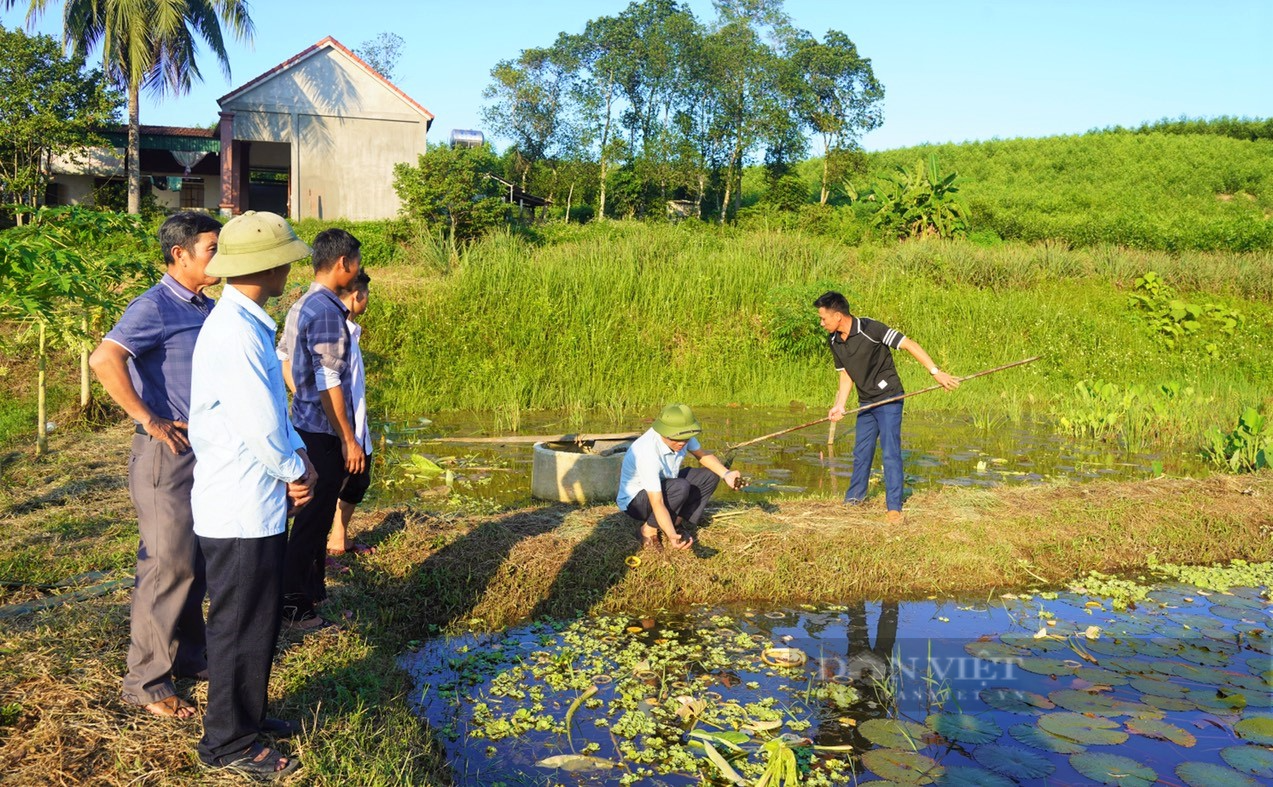 Hội Nông dân Nghệ An vượt khó khẳng định vai trò nòng cốt đưa tỉnh nhà phát triển nhanh, bền vững - Ảnh 5.