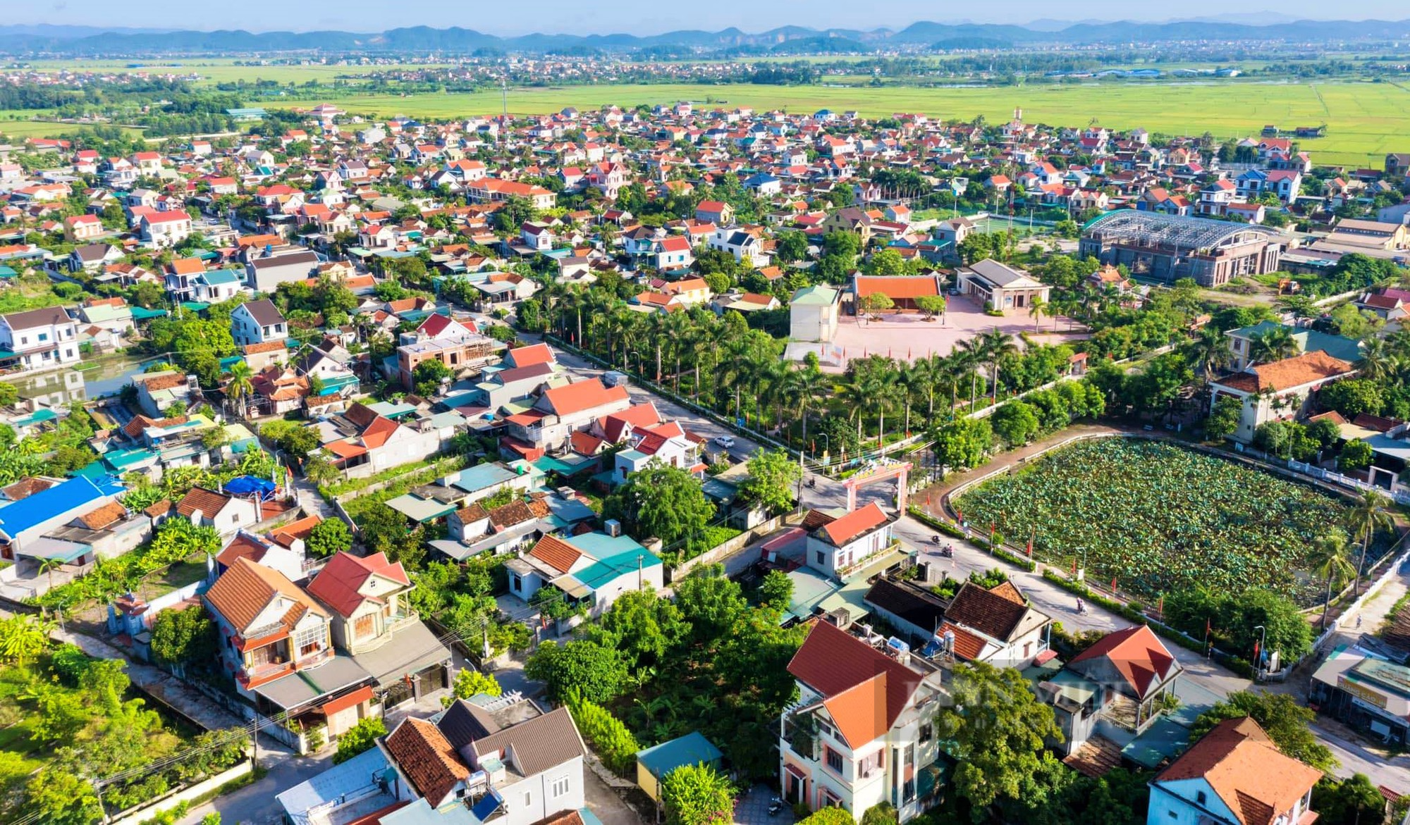 Hội Nông dân Nghệ An vượt khó khẳng định vai trò nòng cốt đưa tỉnh nhà phát triển nhanh, bền vững - Ảnh 6.