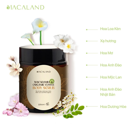 Tẩy tế bào chết Mắc ca – Cà phê Organic – cột mốc cho định hướng tương lai của Macaland - Ảnh 4.