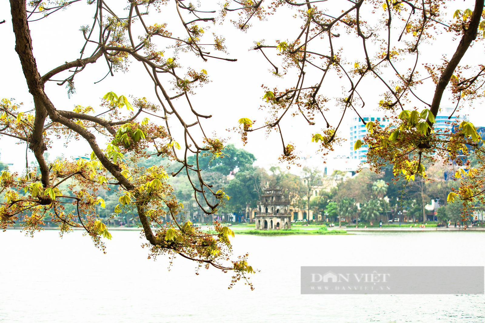 Ký ức Hà Nội: Kỷ niệm đẹp về Thủ đô thời còn tàu điện chạy leng keng - Ảnh 1.