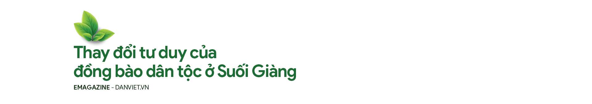 Người phụ nữ trở thành NDVN xuất sắc 2023 nhờ &quot;xé rào&quot;đem lại sức sống cho cây chè quý ở Suối Giàng - Ảnh 3.