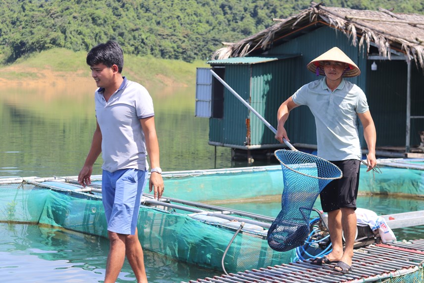 Nuôi cả nghìn con cá lăng, cá diêu hồng, cá tầm trên lòng hồ Cửa Đạt, nông dân thu hàng tỷ đồng - Ảnh 15.