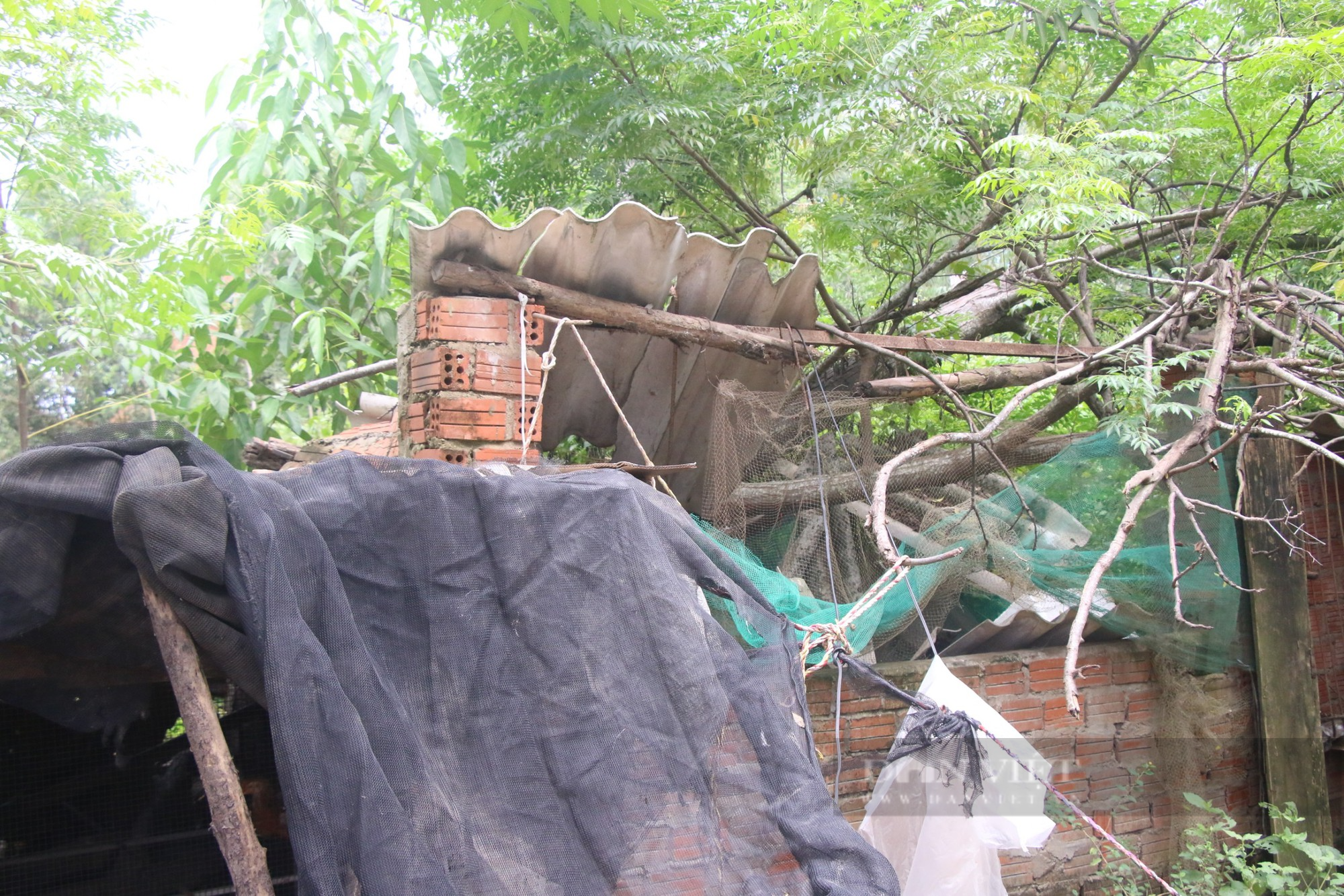 Nhà cửa, đường xá ngập ngụa bùn đất sau mưa lớn tại Đà Nẵng - Ảnh 6.