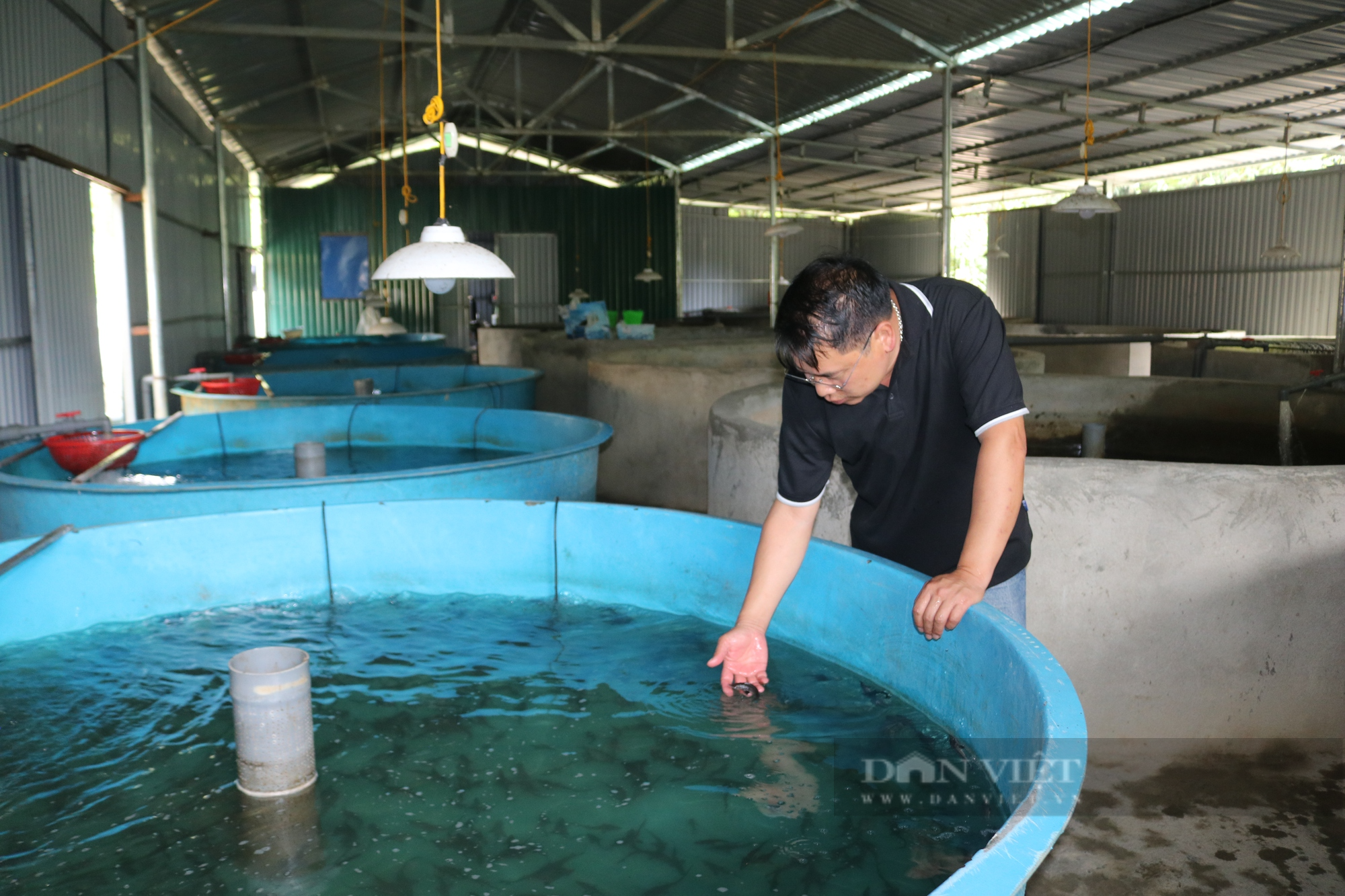 Nông dân xuất sắc Việt Nam đến từ Lào Cai là tỷ phú nuôi cá nước lạnh  - Ảnh 5.
