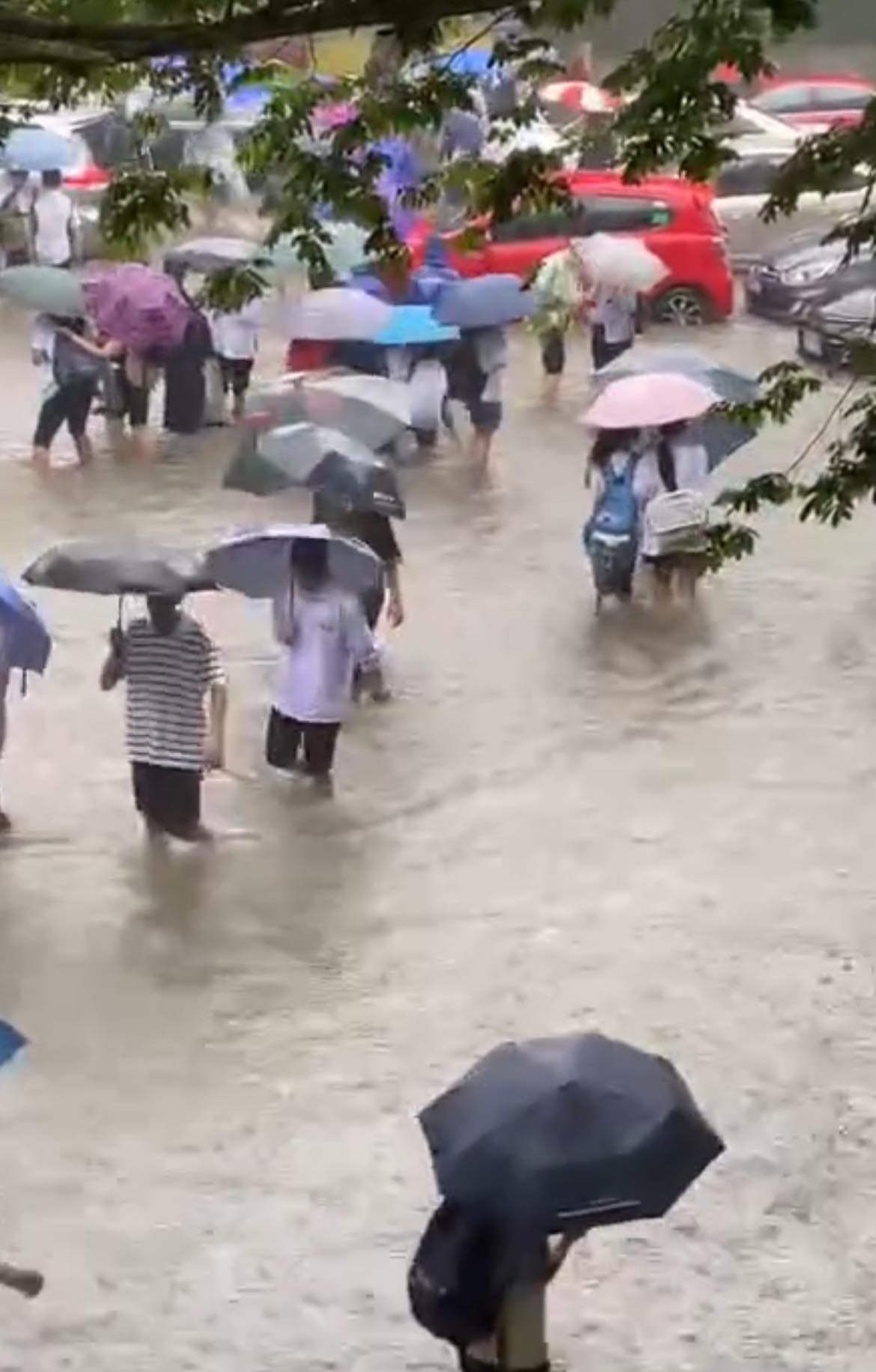 Hà Nội mưa ngập các trường học: Học sinh tung tăng bơi lội dưới sân, cô giáo ngồi tát nước - Ảnh 2.