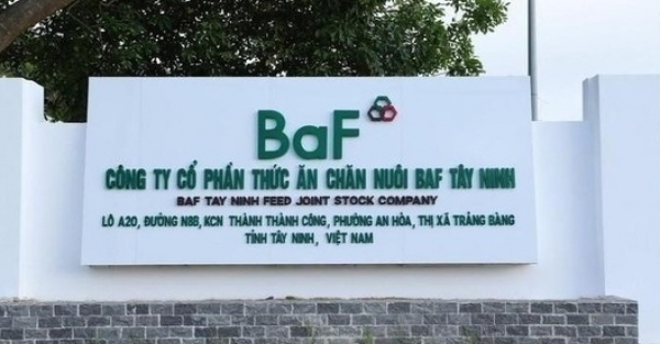 BAF lãi quý II gấp 4 lần cùng kỳ, doanh thu bán lợn tăng rất mạnh- Ảnh 1.