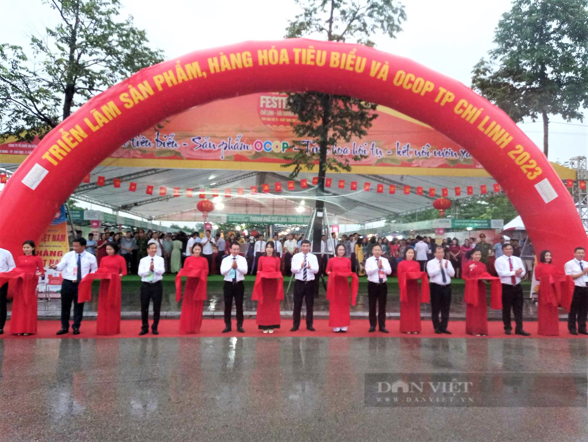 Nhiều sản phẩm của nông dân Hải Dương, một số tỉnh, thành tham gia triển lãm tại Festival TP Chí Linh - Hải Dương 2023 - Ảnh 7.