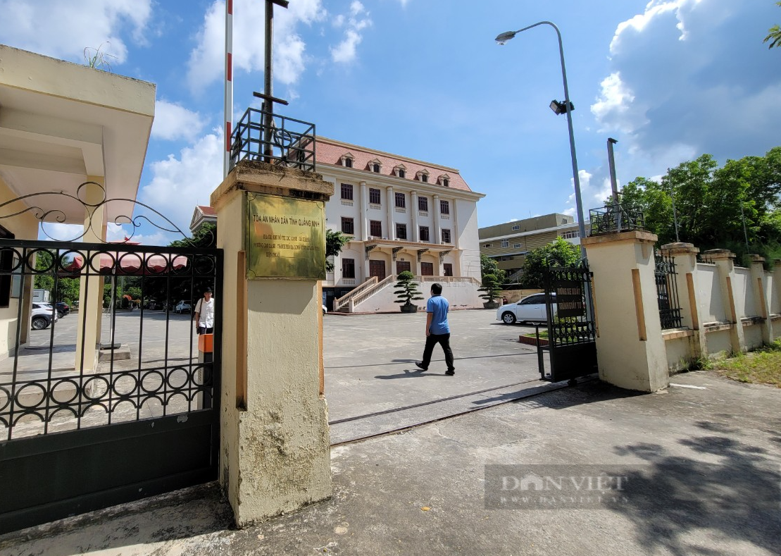 Đang bỏ trốn, cựu Chủ tịch AIC Nguyễn Thị Thanh Nhàn lại sắp bị xét xử vắng mặt - Ảnh 2.