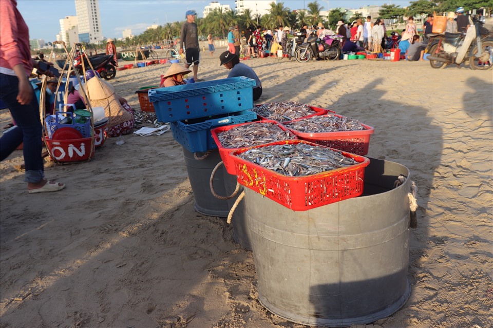 Một cái chợ ngay mép biển Đà Nẵng, sáng ra đã thấy la liệt cá ngon, người mua bán tấp nập - Ảnh 5.