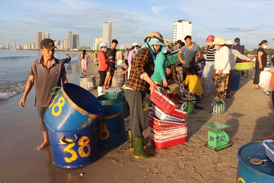Một cái chợ ngay mép biển Đà Nẵng, sáng ra đã thấy la liệt cá ngon, người mua bán tấp nập - Ảnh 3.