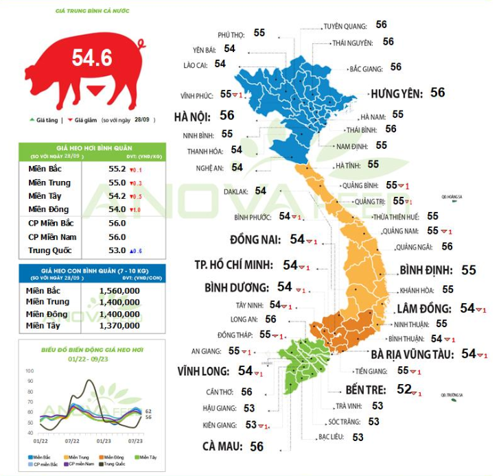 Giá lợn hơi trượt dốc dài, mốc giá 57.000 đồng/kg không còn, vì sao? - Ảnh 1.