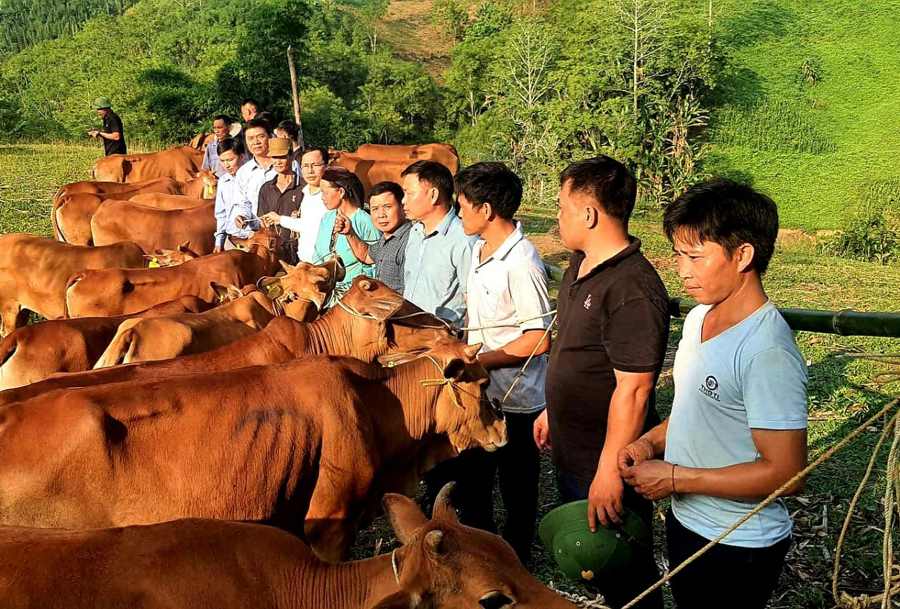 Hà Giang nỗ lực triển khai Chương trình mục tiêu quốc gia góp phần phát triển kinh tế - xã hội vùng biên giới - Ảnh 1.