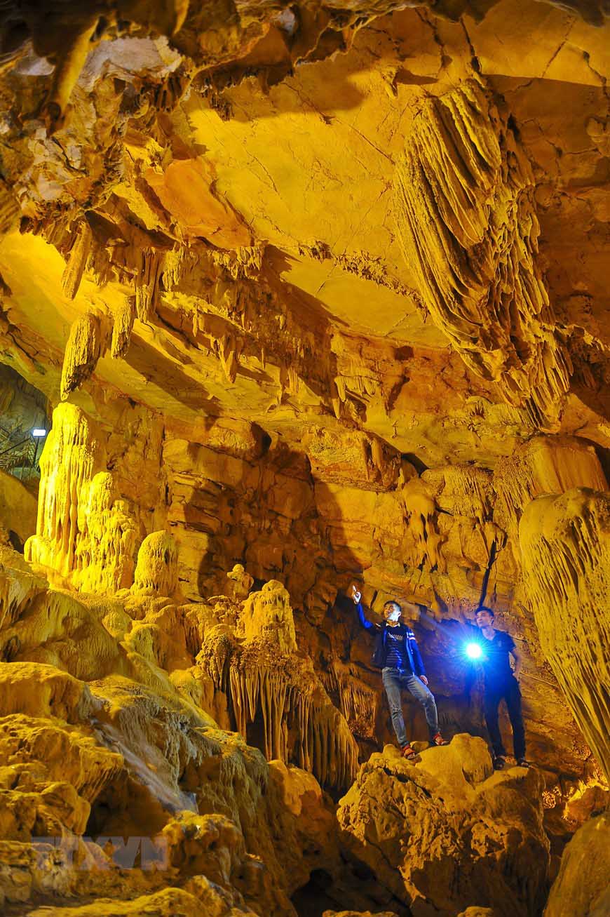 Một hang động ở Ninh Bình, bước vào bất ngờ vô số nhũ đá hình thù kỳ dị, tên nghe có người thảng thốt - Ảnh 5.