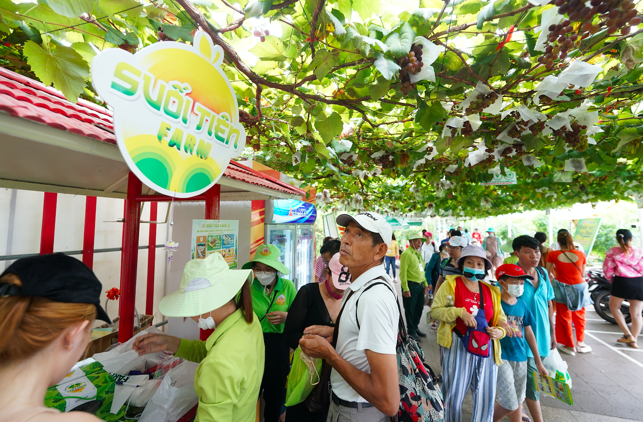 Hàng nghìn khách thích thú hái trái cây, thưởng thức ngon lành tại công viên nổi tiếng nhất Sài Gòn - Ảnh 1.
