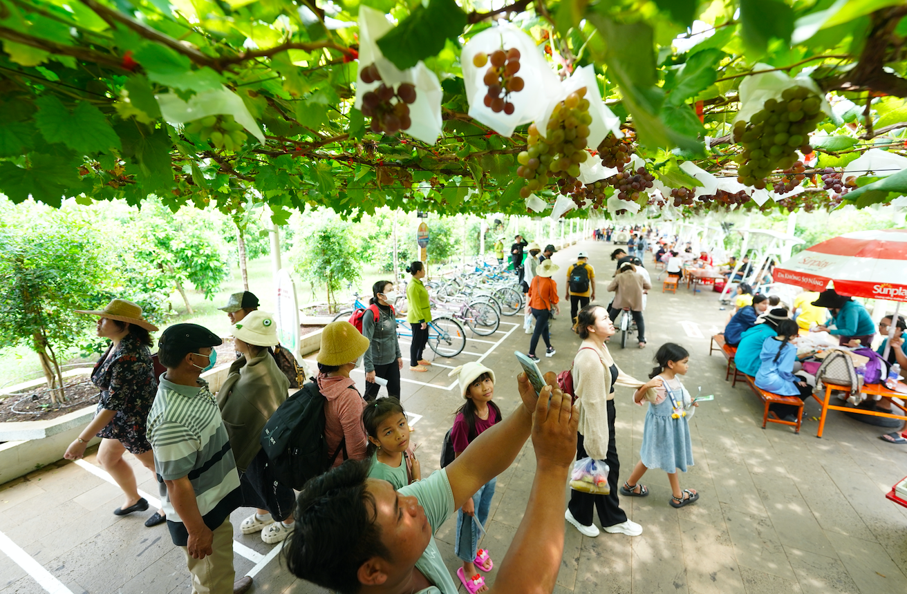 Hàng nghìn khách thích thú hái trái cây, thưởng thức ngon lành tại công viên nổi tiếng nhất Sài Gòn - Ảnh 2.