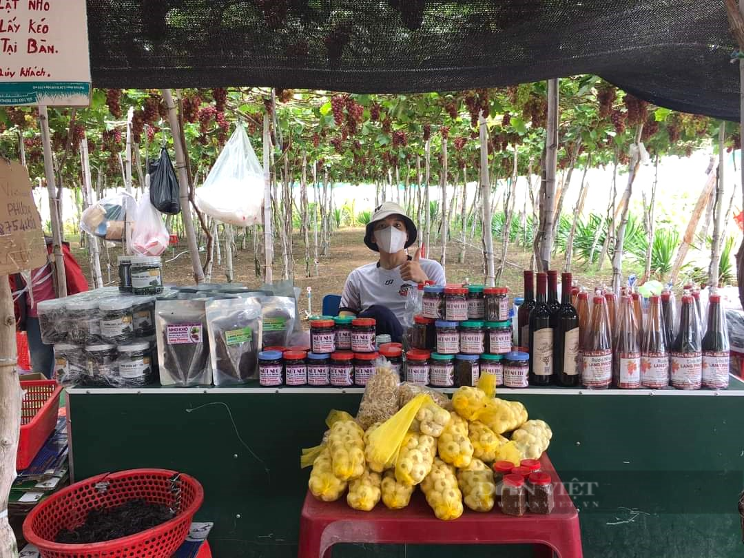 Cảm giác “hái tận tay, ăn ngay tại vườn” khiên du khách mê mệt ở vườn nho Ninh Thuận - Ảnh 10.