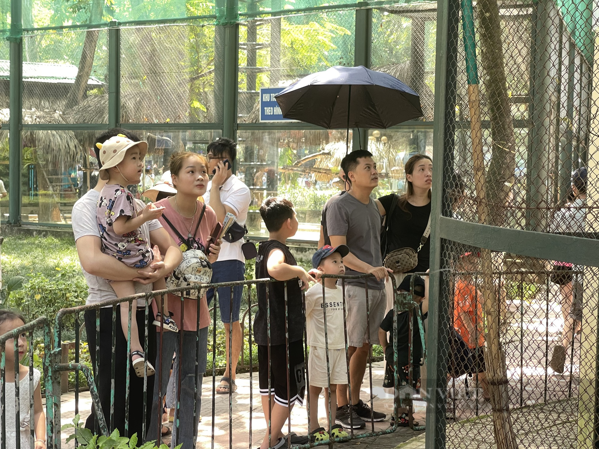 Công viên Thủ Lệ đông nghịt người trong ngày nghỉ lễ, người lớn trẻ nhỏ chen nhau đội nắng tham quan - Ảnh 6.