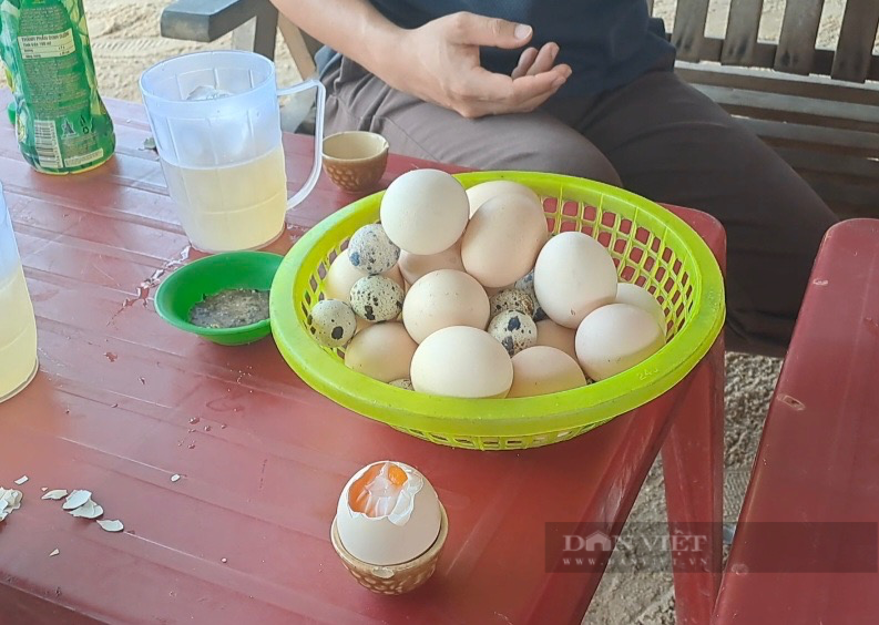 Độc, lạ: Màn luộc trứng ở suối nước nóng 85 độ C tại Bình Định - Ảnh 8.