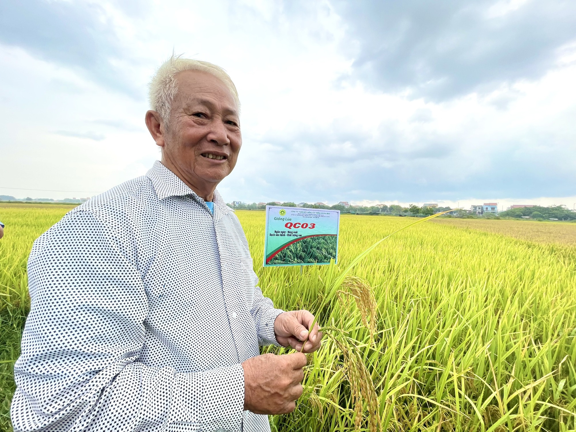 Quảng Bình: Nghỉ lễ, nông dân vẫn ra thăm đồng và đánh giá cao năng suất, chất lượng giống lúa mới này - Ảnh 3.