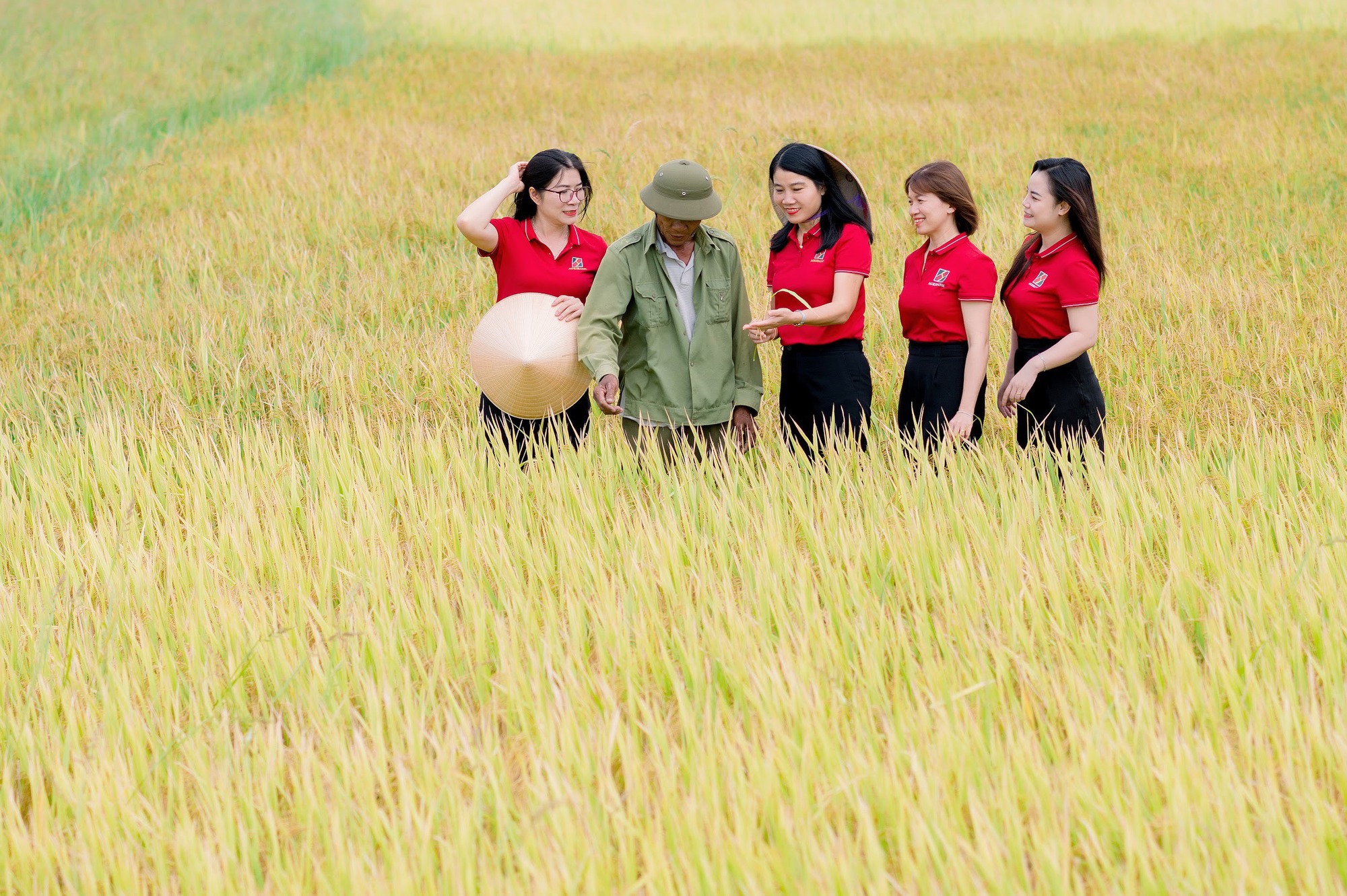 Quảng Trị: Agribank là người bạn đồng hành của bà con nông dân cho những vụ mùa bội thu - Ảnh 3.