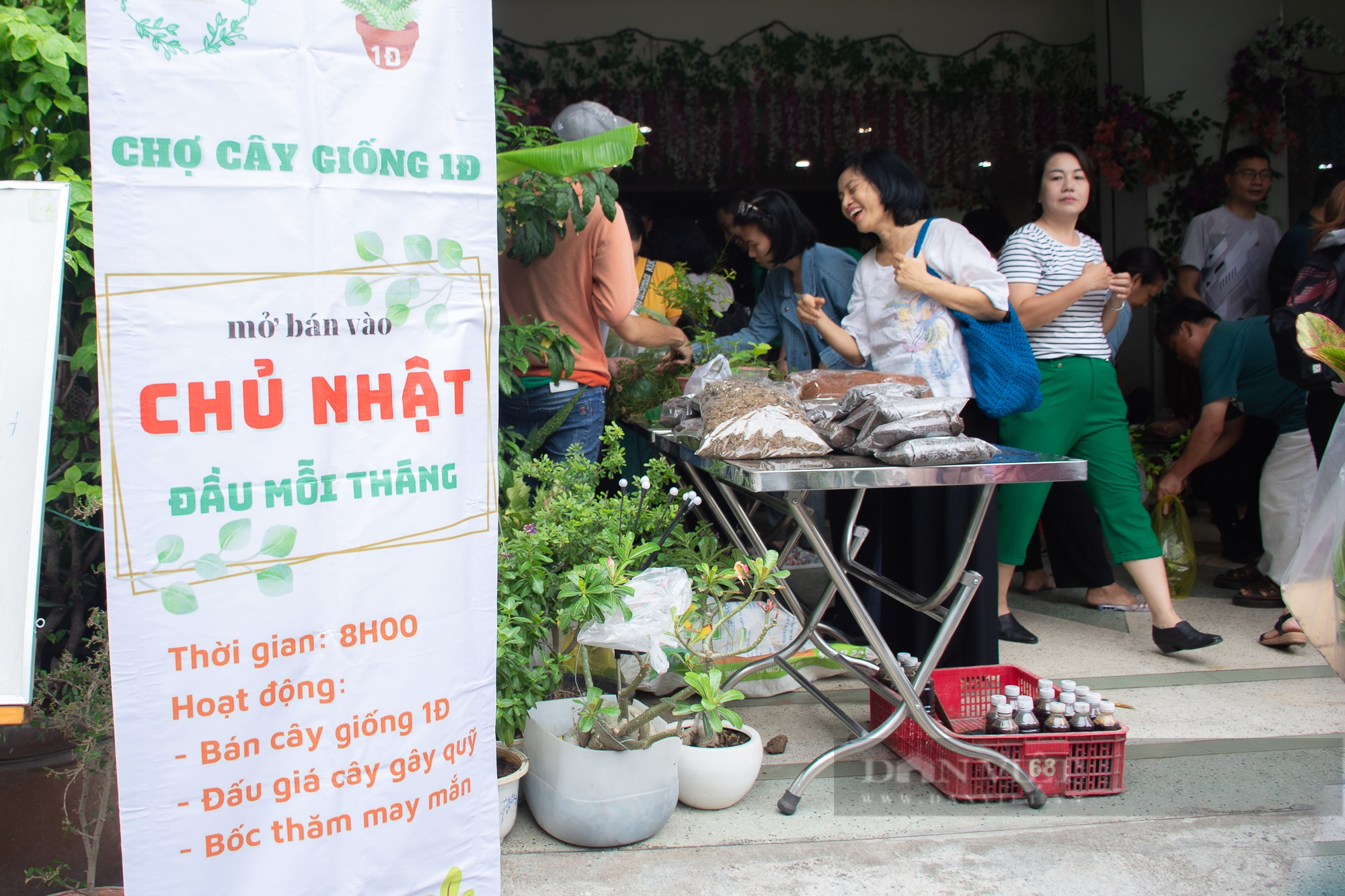 Độc đáo phiên chợ có rất nhiều giống cây trồng ở Sài Gòn, giá chỉ một viên kẹo - Ảnh 1.