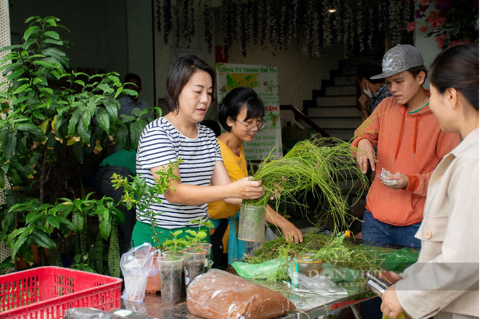 Độc đáo phiên chợ có rất nhiều giống cây trồng ở Sài Gòn, giá chỉ một viên kẹo - Ảnh 2.