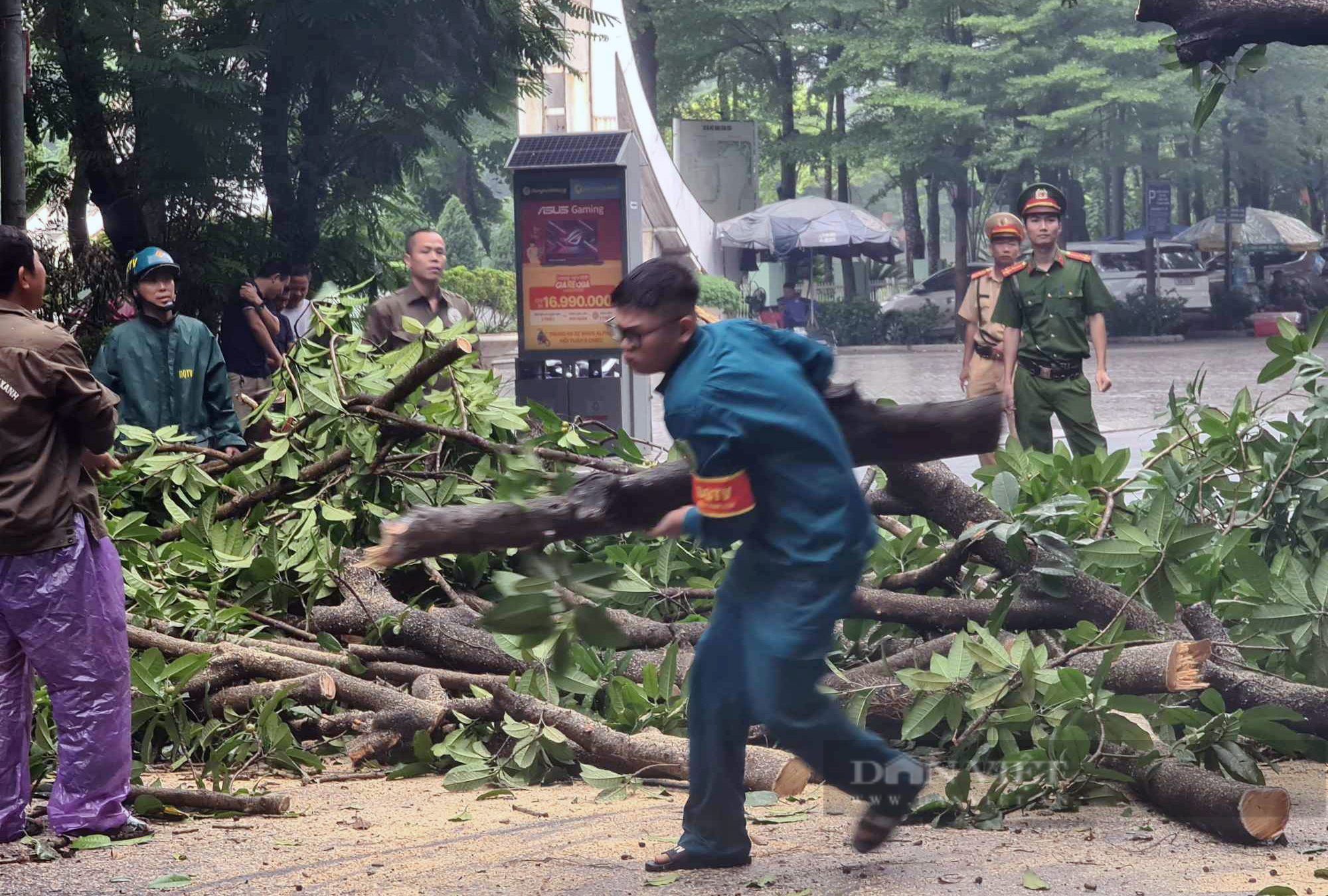 Cây đa bất ngờ bật gốc, đổ đè trúng ôtô trên đường ở Hà Nội - Ảnh 5.