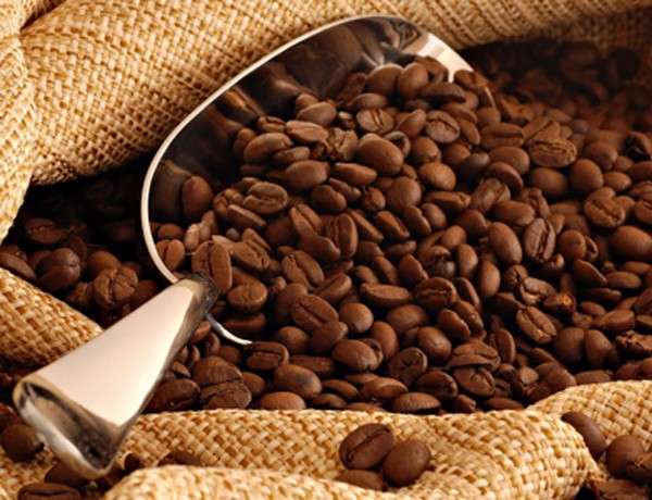 Nghịch lý: Giá xuất khẩu cà phê cao kỷ lục, doanh nghiệp nói không được hưởng lợi nhiều - Ảnh 1.