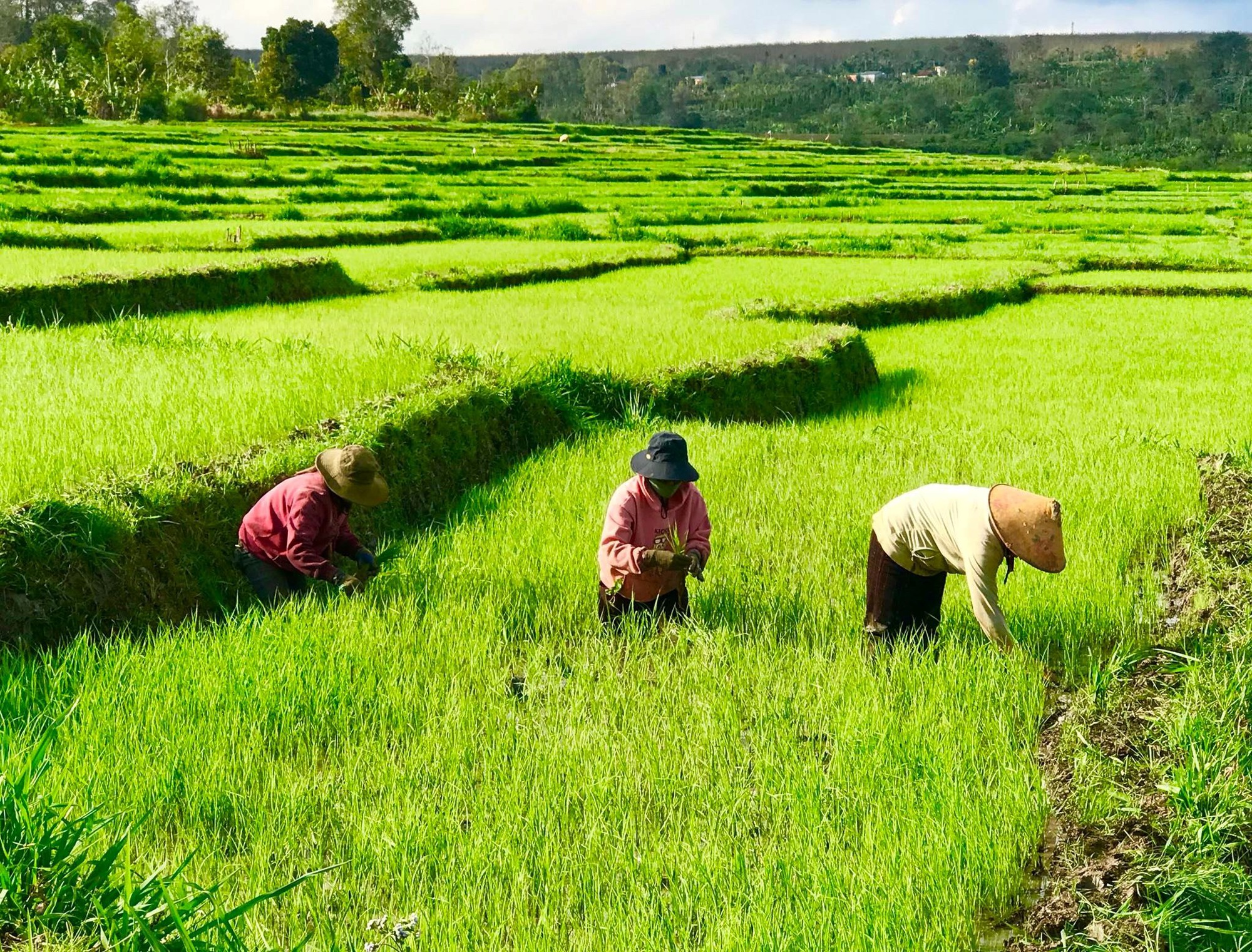 Duy trì, nâng cao chất lượng các tiêu chí trong xây dựng nông thôn mới - Ảnh 2.