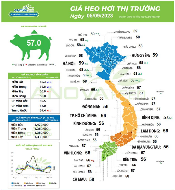 Đà tăng giá lợn hơi đã trở lại? - Ảnh 1.