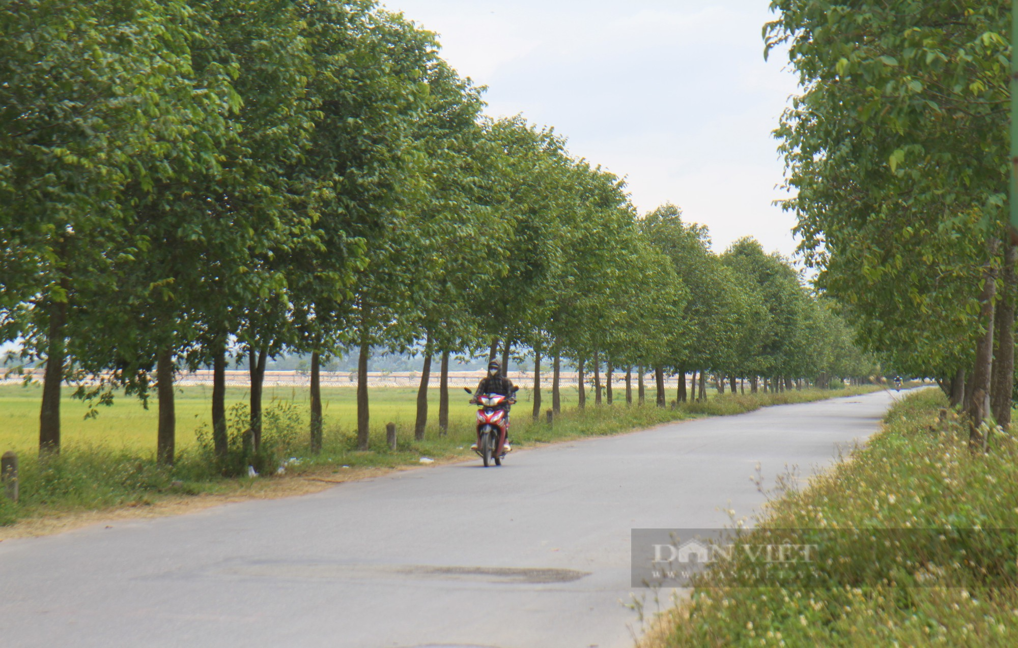 Nông thôn mới trên quê hương Tổng Bí thư Lê Hồng Phong, đường làng khang trang, khu đô thị đẹp như phim - Ảnh 3.