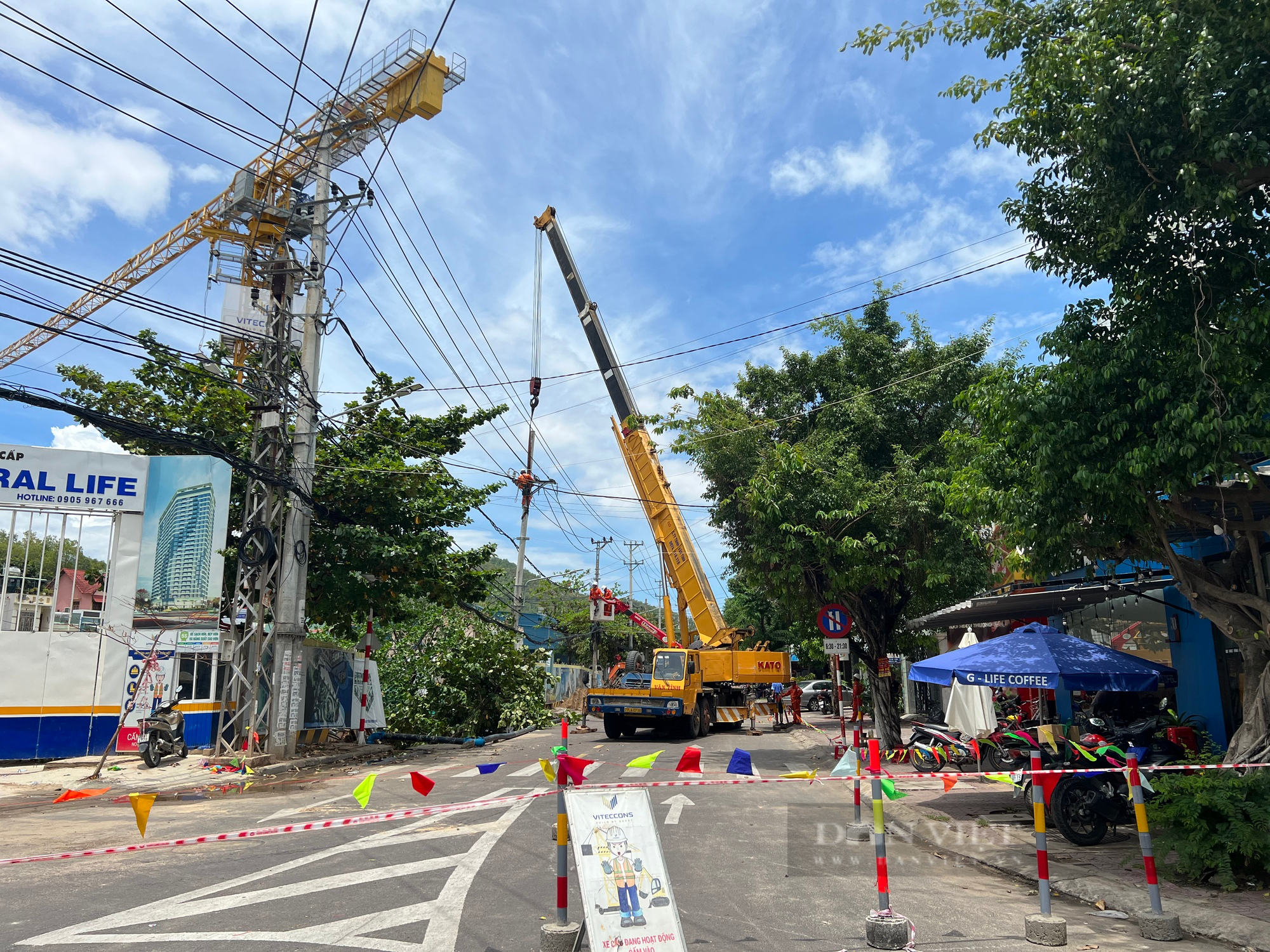Sụt lún 'nuốt chửng' cây xanh, khiến hơn 4.000 khách hàng bị mất điện tại Bình Định - Ảnh 5.