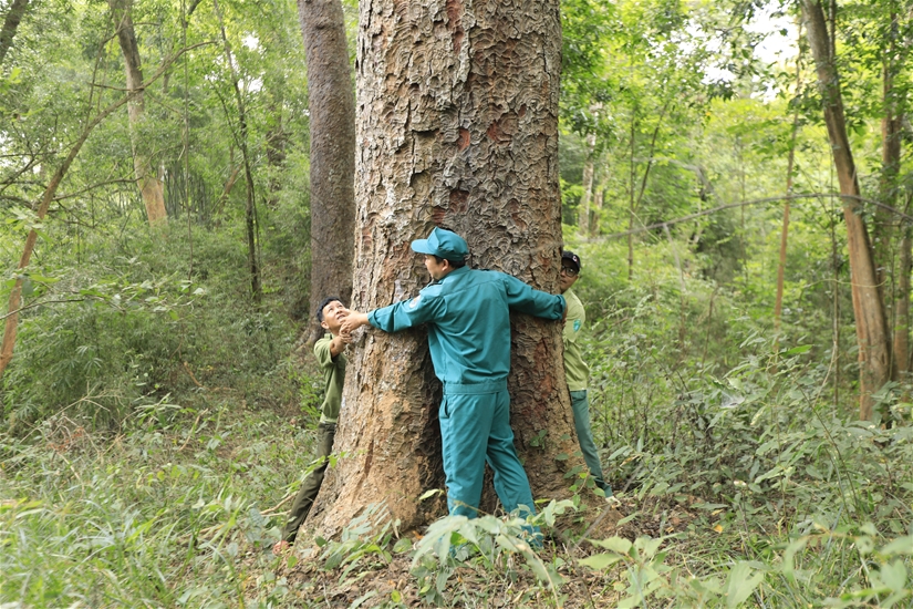 Diễn biến mới vụ xây hồ Ka Pét phá hơn 600 ha rừng ở Bình Thuận - Ảnh 1.