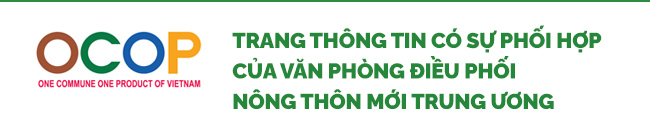 Lần đầu tiên, nông dân một huyện của tỉnh Phú Thọ cho nông sản lên 'sóng', chốt đơn mỏi tay - Ảnh 2.