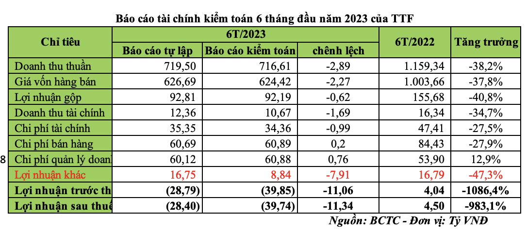 Gỗ Trường Thành tăng lỗ thêm 11,34 tỷ đồng sau kiểm toán bán niên năm 2023 - Ảnh 1.